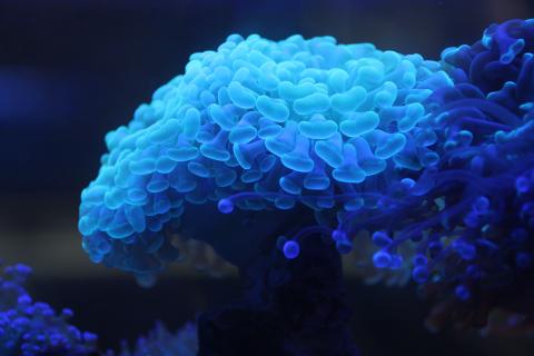 the blackhole Studio - 攝影作品