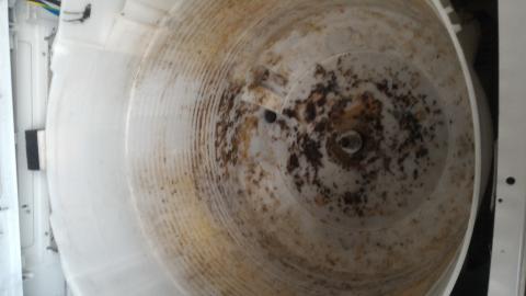 寶貝潔洗衣機清洗 - 