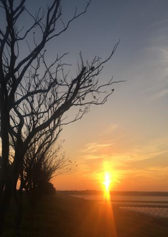 藍斯洛 影像創作 -  藍斯洛 影像創作 -