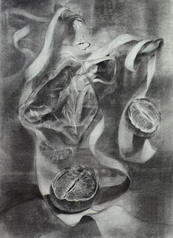 Yube  - 炭筆創作