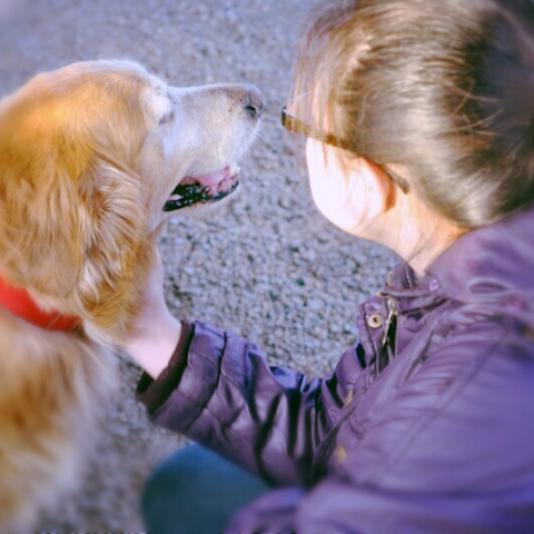 提供寫文章服務的專家林冠妤
