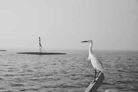 默照攝影 - 人文紀實-母親的故鄉