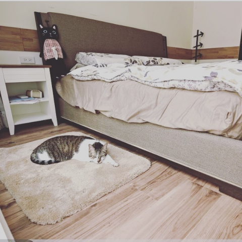 伊可傢俬設計 - 