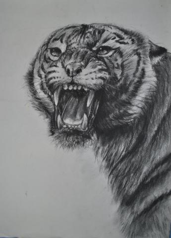 陳汝軒 - Painting