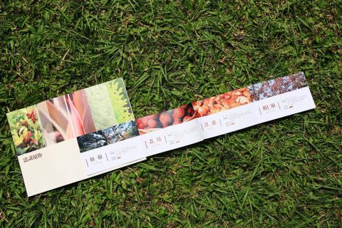 Roxanne Design Studio - 手工書