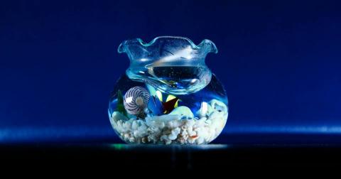 John Lin - 表達一種感覺