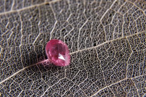 Johnson(強生)多媒體工作室 - 寶石攝影