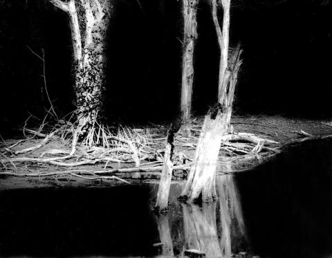 藍斯洛 影像創作 -  藍斯洛 影像創作 -