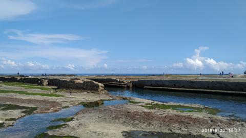 龍世界藝術設計攝影工作室/蘇老師 Sam Su - 