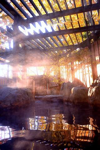 老蔡旅遊攝影工作室 - 跟著 老蔡旅遊攝影出國  溫泉、楓葉、日出一次完全享受