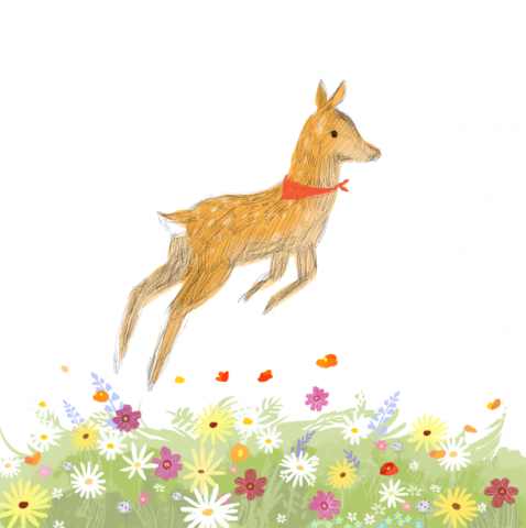 你好影像設計 - 插畫