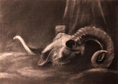 個人接案 - 炭筆手繪