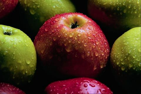 Yoko - 自己還有個姐姐賣水果！