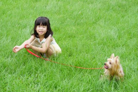 小乖媽的小分享 - 