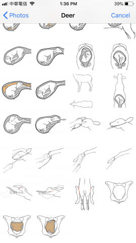 尤薏慈 - 教學圖繪製
