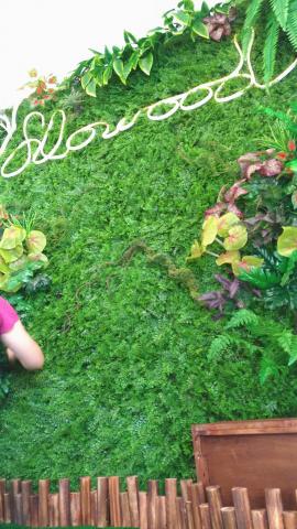 花木室內裝修坊 - 仿真植生牆設計製作，提升商業空間質感，大幅降地維護費用