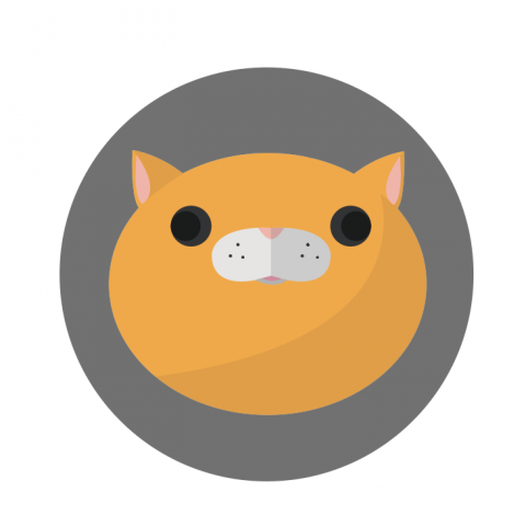 提供edm服務的專家Nico Studio