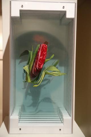 Lin,Jin-Zhong個人藝術工作室 - 