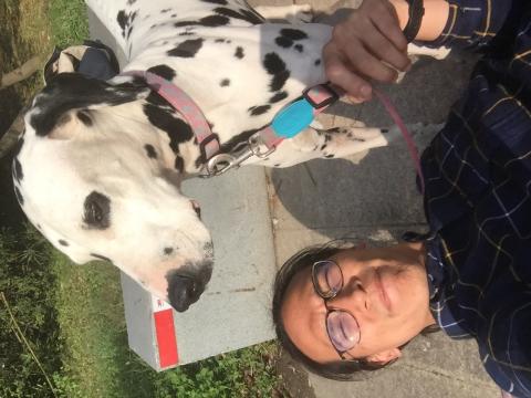 正向馴狗師-唐榮基 - 大麥町服從訓練（系統不支援調整圖片方向，請見諒）