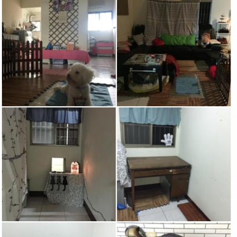 Angela  - 居住環境