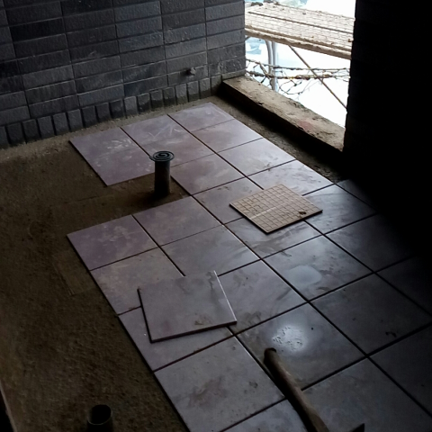 提供今日職棒服務的專家楊凱和