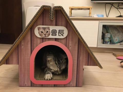 魚雁設計│Yuyen Design - 印刷品設計-貓屋設計（按您所需支品項進行設計，可代為發印）