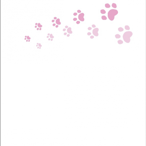 提供手工服務的專家Anning