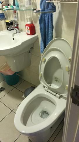 宜家美居家清潔 - 馬桶清潔後