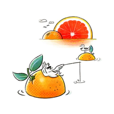 Metaphor.L 插畫工作室  - 酒單插畫 _ 水果調酒系列