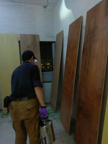 威力克專業除蟲有限公司 - 蛀蟲預防工程