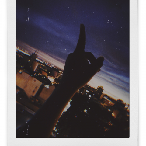 提供火蟻巢服務的專家曾馨儀