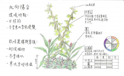 享設計個人工作室 - 陽台可食地景建議圖