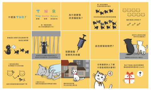 Coco - 懶人包插圖設計