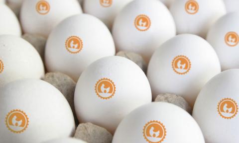 艾倫黃設計工作室 - 耀田牧場 / 品牌識別設計, 包裝設計