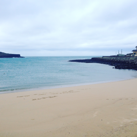 提供一日代班服務的專家李家豪