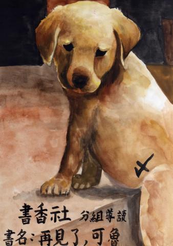 星辰工作室 - 可魯