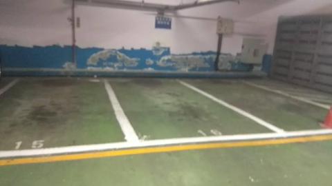 大馬力工程實業有限公司 - 壁癌處理