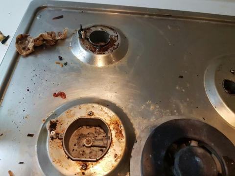 清香居家凊潔 - 