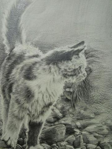 荓語 - 動物精緻素描_素描筆