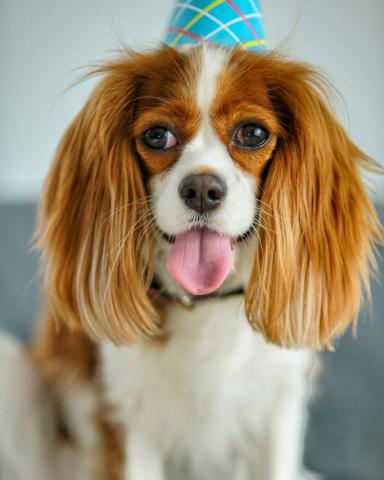 心視界影像紀錄 - 