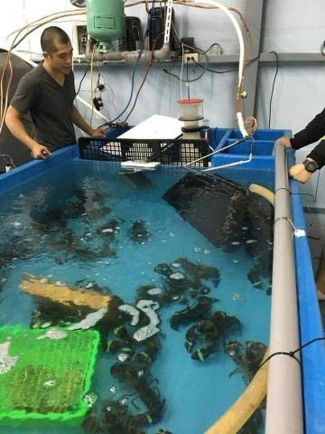 詠威冷氣空調 - 水族恆溫設備