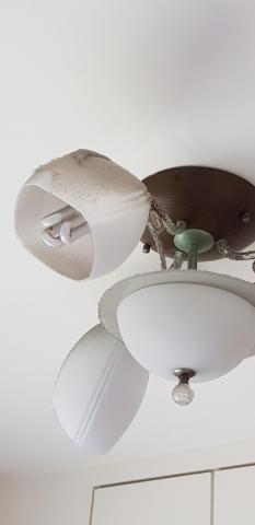 寶捷居家除蟎 - 難以清潔到的天花板燈飾