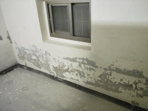 專業漆匠 - 壁癌處理