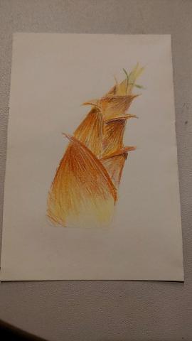 田田小舖 - 手繪筍10分鐘