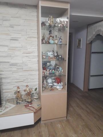 楊竣仁 - 展示櫃