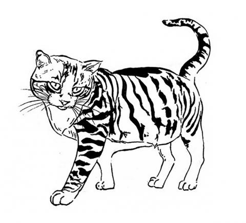 曾鈺珮 - 插畫-帶針筆