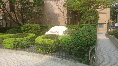 星陽園藝社 - 園藝維護作品