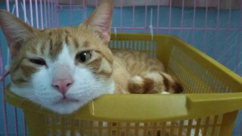 提供行動不便服務的專家😁😁😁😁