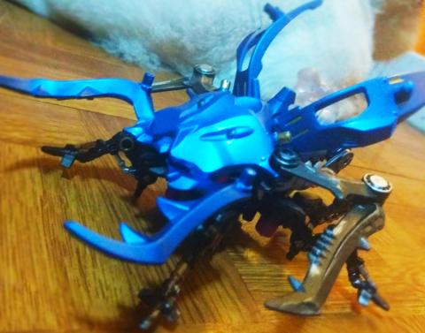 暴龍叔叔  - zoids zw07鍬形蟲