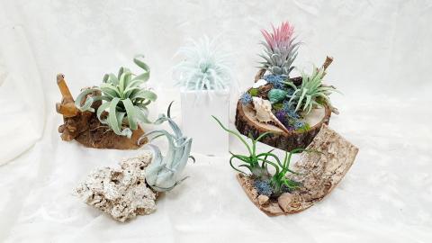 超悅藝術創作 - 粘土空氣鳳梨